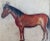 Figurative #1960s Watercolor Horse Painting, Framed For Sale - Image 3 of 9