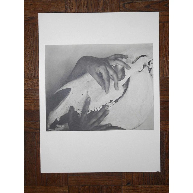 Photography Large Vintage Photogravure-"Georgia O'Keeffe" by Alfred Stieglitz (Usa 1864-1946) For Sale - Image 7 of 8