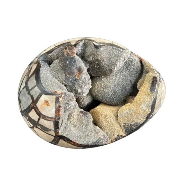 Brown Septarian "Egg" Geode From the Cretaceous Period For Sale - Image 8 of 8