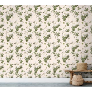 Brier and Byrd - Geranaium - Bisque For Sale