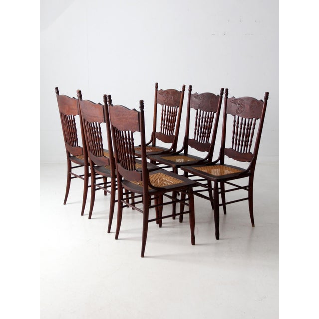 Antique Press Back Dining Chairs Set of 4 For Sale - Image 11 of 16