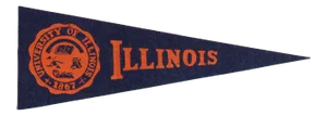 Vintage University of Illinois Felt Flag