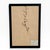 1965 French Herbarium Botanical Specimens – Set of 8 Custom Framed Pressed Botanicals For Sale - Image 6 of 18