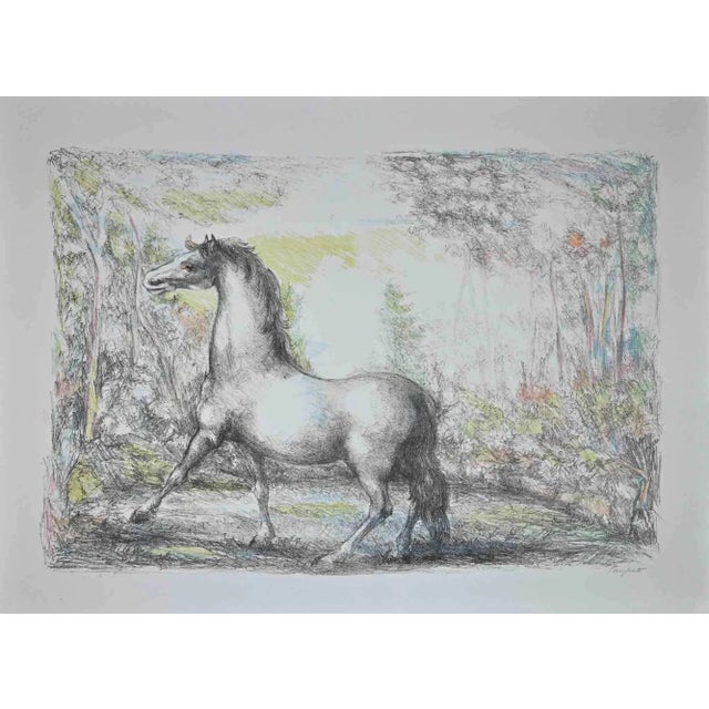 Modern Domenico Purificato, Horse, Original Lithograph, 1970s For Sale - Image 3 of 3