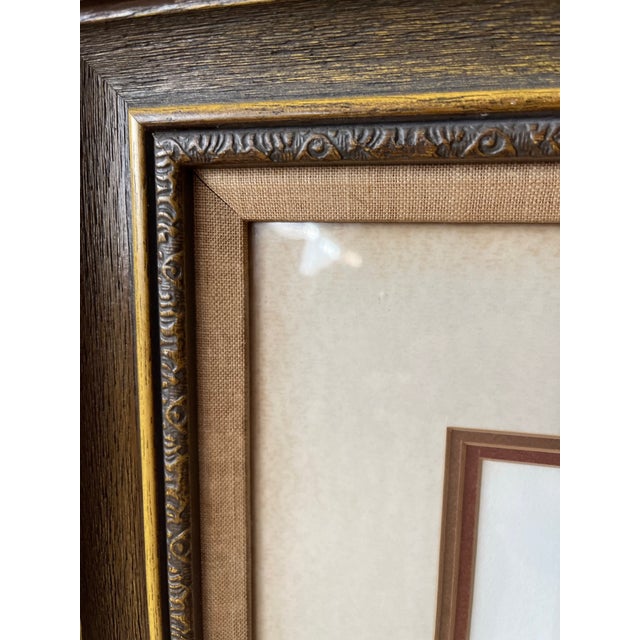 Brown Owl Portraits of the World, Barred Owl Print, E. Darrell Smith Artist Proof For Sale - Image 8 of 12