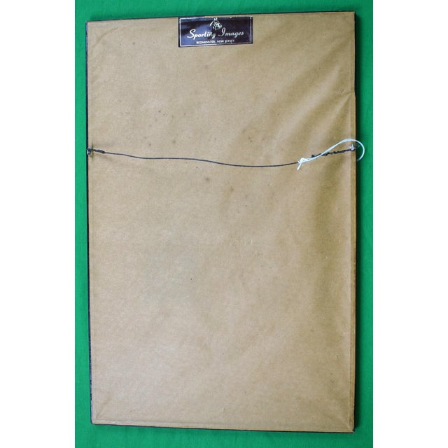 Traditional Mid 20th Century German Show-Jumper, Alwin Schockemohle Watercolour by Tim Holder For Sale - Image 3 of 6