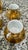Mid-Century Modern Vintage Gold-Gilded Porcelain Espresso Set - 11 pcs For Sale - Image 3 of 12