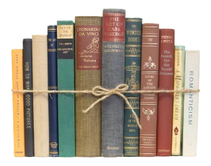 Decorative Books - Vintage Art Book Bundle - 1 Foot of Subject Books