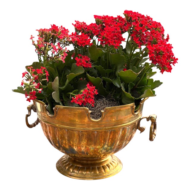 Large Solid Brass 12" Planter or Cachepot With Ring Handles Made by Mottahedeh For Sale