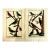 18th-Century Pair of French Hand-Colored Copperplate Engravings of Exotic Birds, by François-Nicolas Martinet For Sale