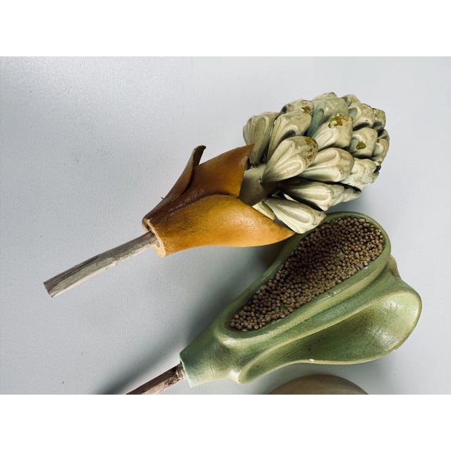 Botanical Model by Brendel For Sale - Image 5 of 13