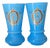 Large Pair of Antique Turquoise Blue Opaline Vases – Hand-Painted Heron Medallions, Gilt Accents For Sale