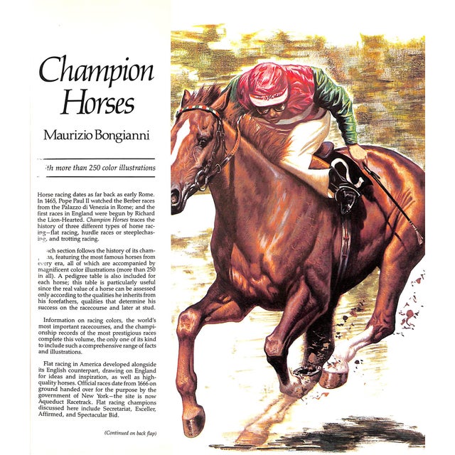 White "Champion Horses" 1983 Bongianni, Maurizio For Sale - Image 8 of 12