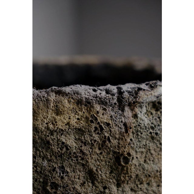 Belgian Decorative Planter, 1960s For Sale - Image 14 of 18