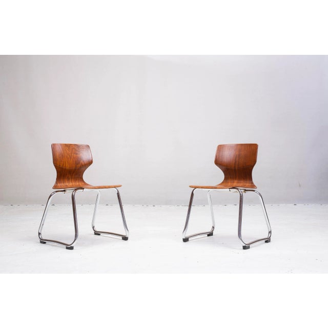 Set of Children's Chairs by Adam Stegner for Flötotto, 1970s For Sale - Image 9 of 9
