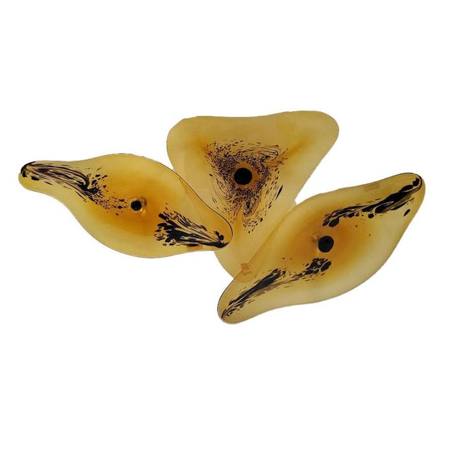 Mid-Century Murano Style Asymmetrical Amber & Tortoiseshell Blown Glass Wall Art Installation Plates - Set of 3 For Sale - Image 4 of 10