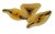 Mid-Century Murano Style Asymmetrical Amber & Tortoiseshell Blown Glass Wall Art Installation Plates - Set of 3 For Sale - Image 4 of 10