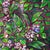 Sweetness-Blue Ridge Mts, North Carolina II by Amanda Seckington | Acrylic & Oil on Canvas Blueberries and leaves. For Sale