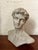 Contemporary Late 20th Century Resin Michelangelo Bust of David For Sale - Image 3 of 6