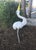 Mid-Century Modern Vintage Mid-Century Mod Iron Heron White Coastal Egret Yard Statue For Sale - Image 3 of 9