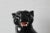 Black Italian Style Large Sculptural Ceramic Glazed Panther For Sale - Image 8 of 11