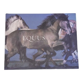 Flach, "Equus", First Edition 2008 For Sale