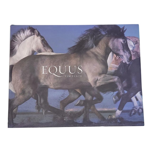 Flach, "Equus", First Edition 2008 For Sale
