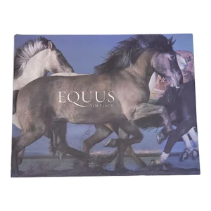 Flach, "Equus", First Edition 2008