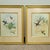 Wood Pair of Framed John Gould Hummingbird Botanical Prints in Gold Frames For Sale - Image 7 of 8