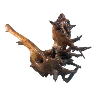 Japanese Root Sculpture Lacquered Wood, 1940s For Sale