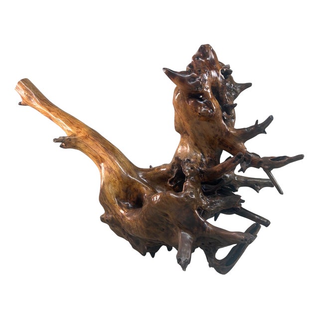 Japanese Root Sculpture Lacquered Wood, 1940s For Sale