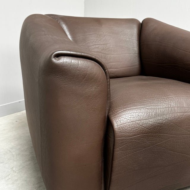 Set of DS-47 Lounge Chair and Ottoman in Buffalo Leather from de Sede, Switzerland, 1990s For Sale - Image 6 of 9