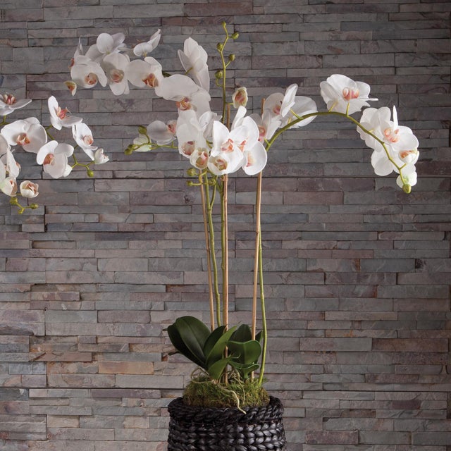 Traditional Phalaenopsis Orchid Drop-In 31" For Sale - Image 3 of 3