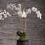 Traditional Phalaenopsis Orchid Drop-In 31" For Sale - Image 3 of 3
