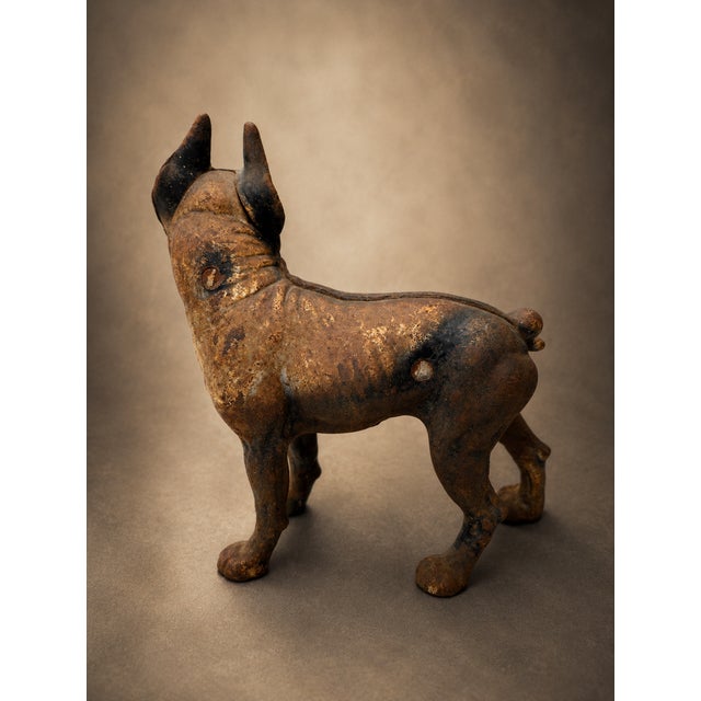 American Antique American Cast Iron Boston Terrier Doorstop With Original Painted Surface For Sale - Image 3 of 8