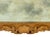 18th Century George II Giltwood Pier Mirrors- a Pair For Sale - Image 5 of 6