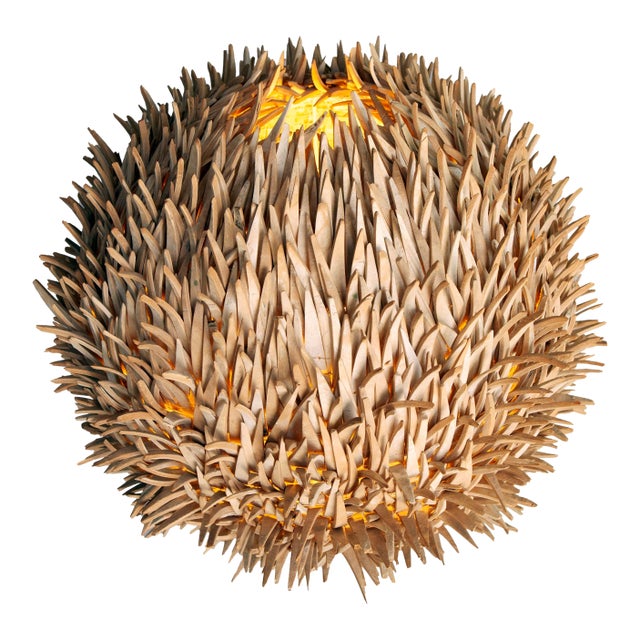 Vintage Sea Urchin Table/Wall Lamp For Sale