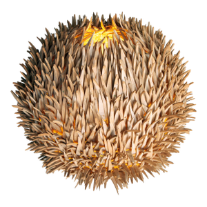 Vintage Sea Urchin Table/Wall Lamp