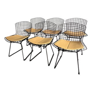 Model 420 Dining Chairs by Harry Bertoia for Knoll International, 1970s, Set of 6 For Sale