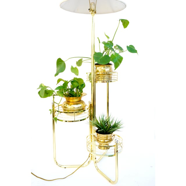 MidCentury Modern Brass & Glass Three Tier Plant Stand + Floor Lamp