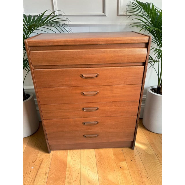 Wood Mid-Century Danish Chest of Drawers in Teak from William Lawrence, 1960s For Sale - Image 7 of 18