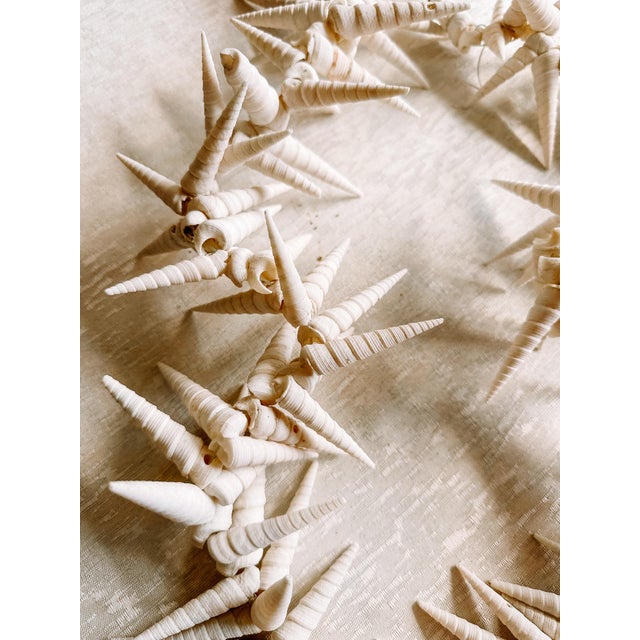 Vintage Costal Sea Shell Garland Table Decor or Holiday Decor For Sale - Image 6 of 9