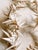 Vintage Costal Sea Shell Garland Table Decor or Holiday Decor For Sale - Image 6 of 9