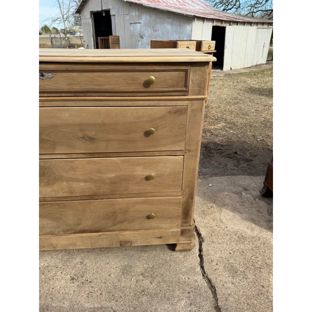 19th Century French Solid Walnut Bleached Chest of Drawer / Commodes For Sale - Image 12 of 12
