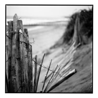 Paul Cooklin, Fence II, Dawlish Warren, Devon, Edition of 50 For Sale