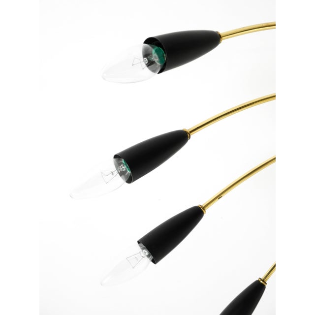 Mid-Century Modern Brass Sputnik Ceiling Lamp, 1950s For Sale - Image 16 of 18