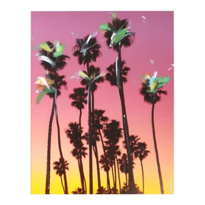 Santa Barbara Grouped Palms I - Urban Landscape Photography Painting Original Artwork by Pete Kasprzak