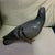 Bing & Grondahl Royal Copenhagen Bing & Grondahl Pigeon Looking for Breadcrumbs Model 1911 For Sale - Image 4 of 6