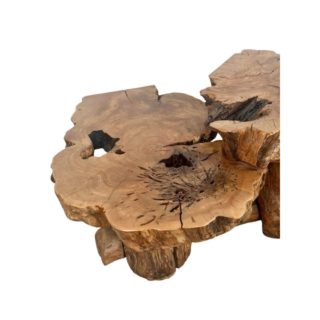 Wood Vintage Organic Modern Two-Tier Live Edge Wood Coffee Table For Sale - Image 7 of 18