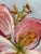 Square Impasto Floral Painting of Lilies For Sale - Image 10 of 18